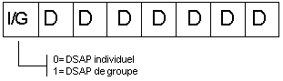 dsap.gif (2159 octets)
