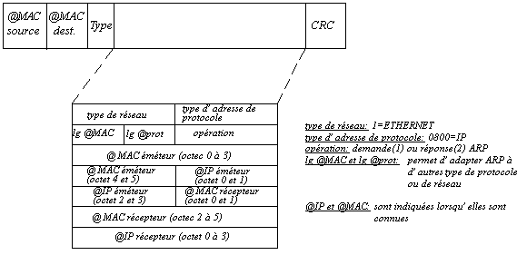 arp_trame.gif (5790 octets)