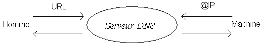 dns_principe.gif (2043 octets)
